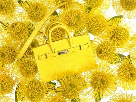 hermes canary lizard tiny birkin|Hermes Birkin bag.